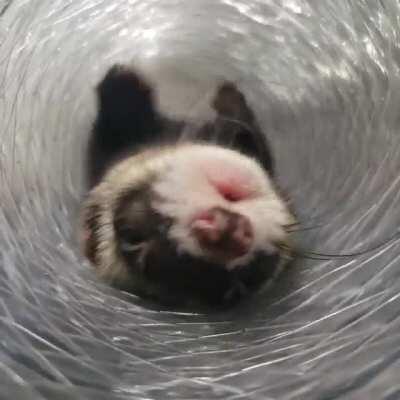 tunnel noodle