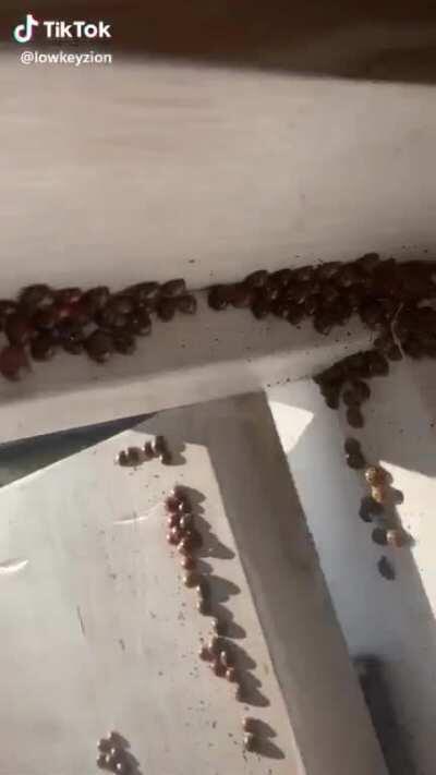 Physical cringe #nsfw