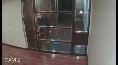 Que hacen ustedes si miran la camara de seguridad y ven a este ser..