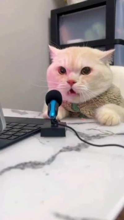 There goes your new ringtone