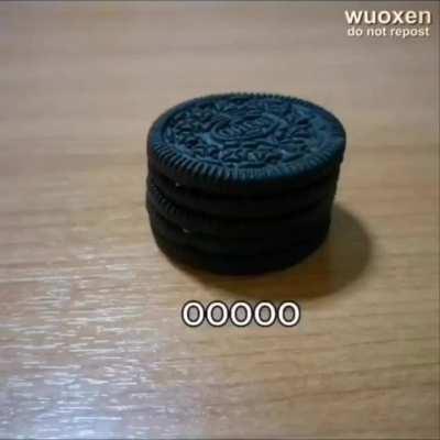 Oreo😁