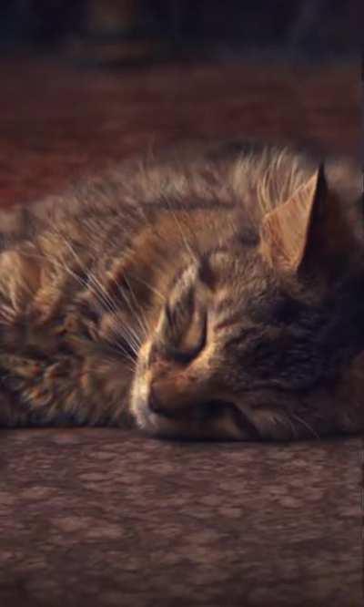 Is the picture moving or not? 😂😂😈😈😈