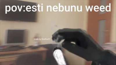 pov:esti nebunu weed