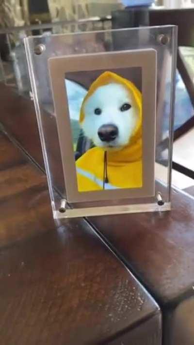 That's Me in the Video: Spreading Joy Everywhere!