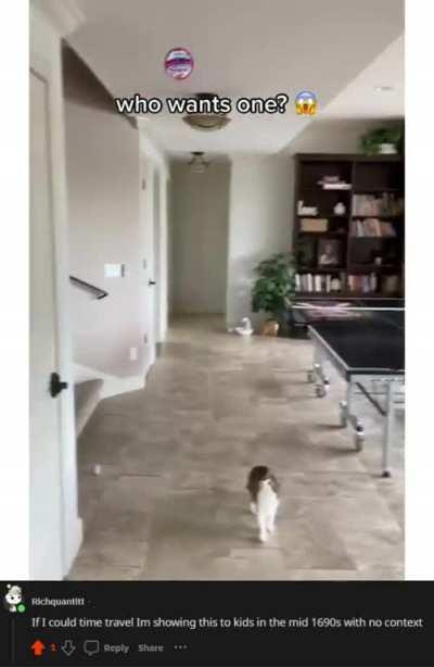 Probably not a good idea..