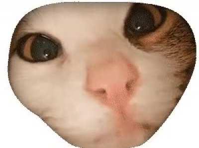 Worry not, for I have arrived