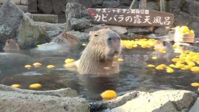 Hey! Thats mine! Gimme that!