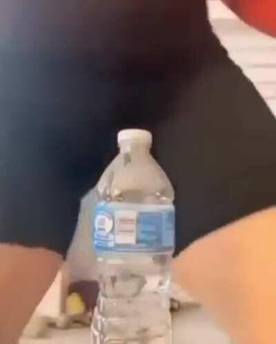 Tudo faz sentido agora