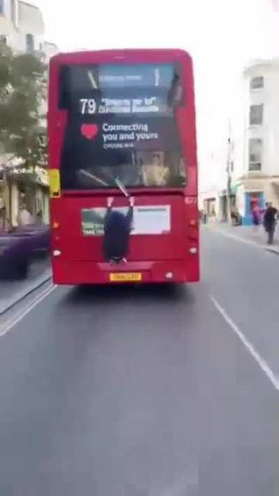 Meanwhile in Brighton, UK