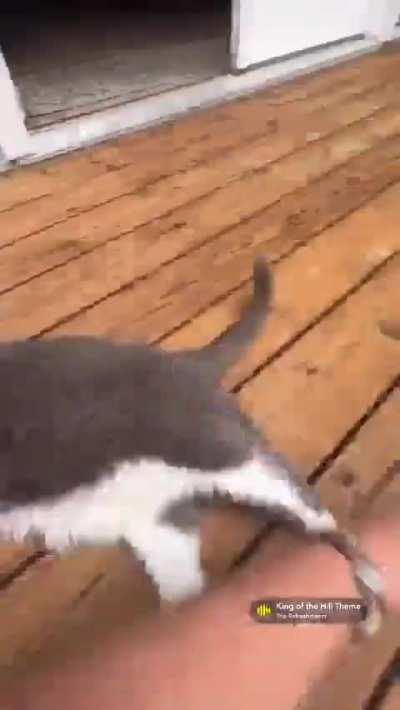 hyup... yep.... myup... m'hm