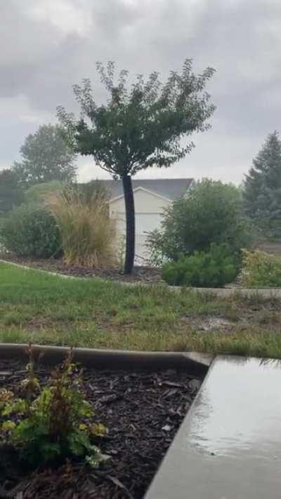 Southwest Utah, it has rained so rarely this year 😍