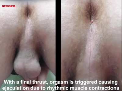 I love showing how my asshole and taint have pulsating contractions during an intense orgasm @ 0:11 seconds, after 5 days of edging I was aching for a release [32M].