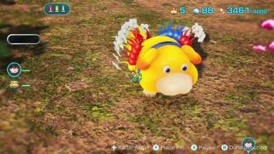 I didnât know he did that