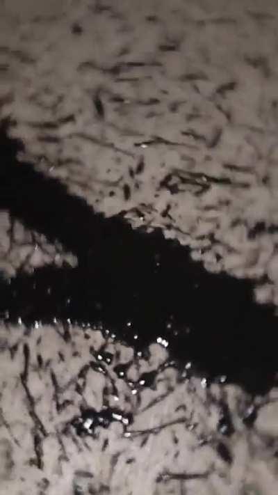 I been doing this a long time, never seen this before . . 