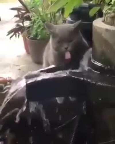 That's not how drinking works.