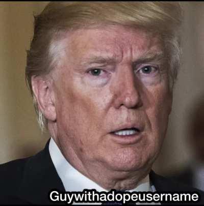 SpongeBob 1000 Calorie 🍃Brownie Prank on Joe Biden (GONE WRONG)