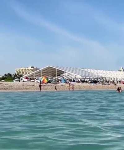 Look at this big ass bird