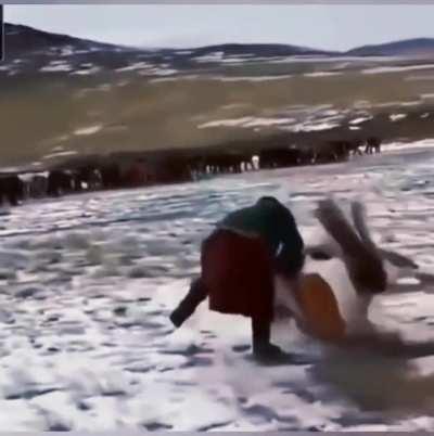 Monsters of Mongolian wrestling