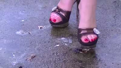 Classic Woman Crushing Roaches in Heels