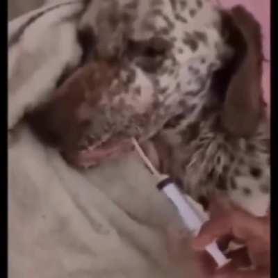 My brother sent this to me. No idea who this person is.