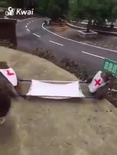 Çaresizlik bu olsa gerek