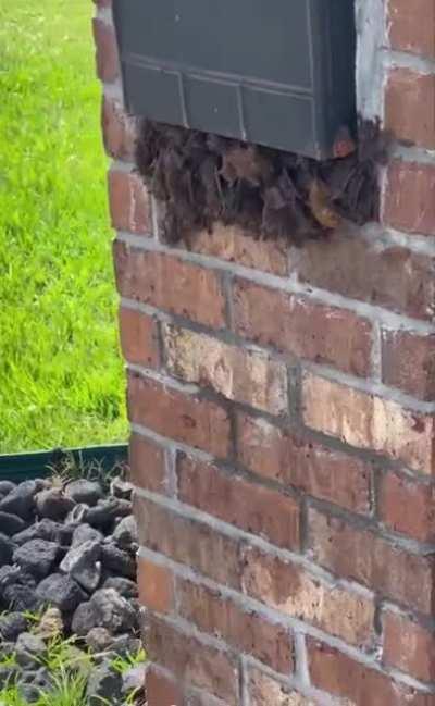 Stop junk mail with this one simple trick!