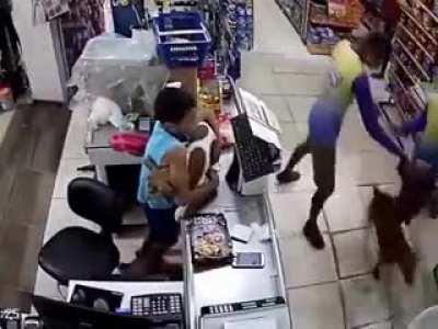 Hero boy saves his best friend from pitbull.