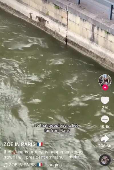 Pierre being based for once?!