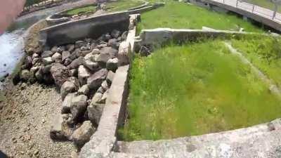 [PK] lil front line and a stride and plyo line from today :)