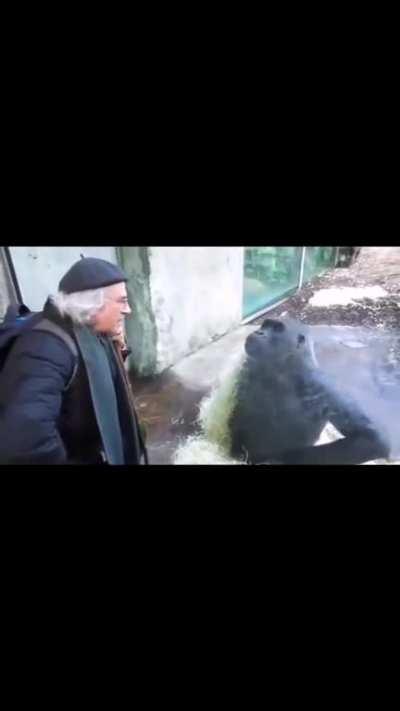 Important conversation between an old man and a monke