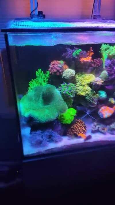 My go to view after a long day of work