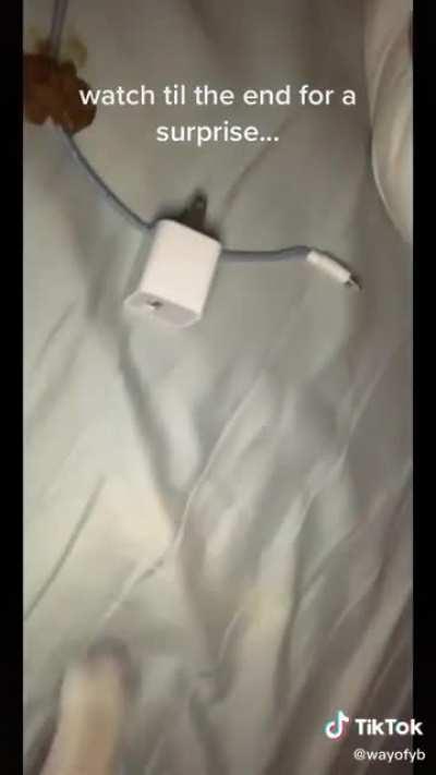 &ldquo;Aint no way&rdquo;