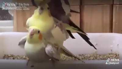 I didn't know it was going to be THAT kind of party!