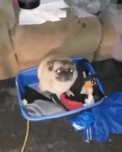 At home. Pretending I’m sexy and I’m at the nightclub... shaking that ass.