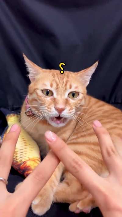 Multiple-choice question