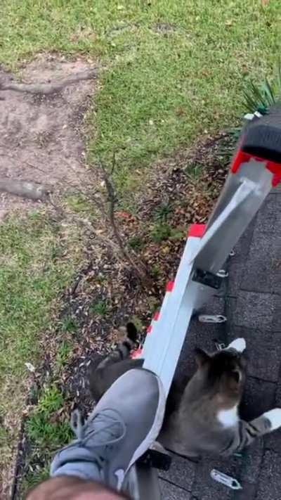 Anything I can knock off up here?