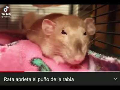 Cual de ustedes hizo enojar al urigod?😡😡