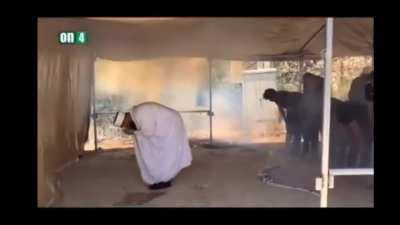 IDF soldiers gassing praying Palestinians