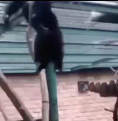 I like your cut G ℹ️🇮🇷🔋ℹ️🇮🇷🈲🔋😑📄😑🌾😔🌾🔥ℹ️🐸ℹ️🤴😳㊙️🤯