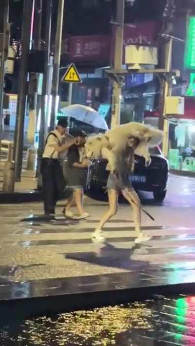 When you feel desperate to stay dry