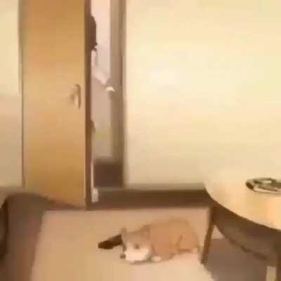 Does anyone know the source material?