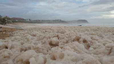 Merewether beach on Saturday. It's alive!