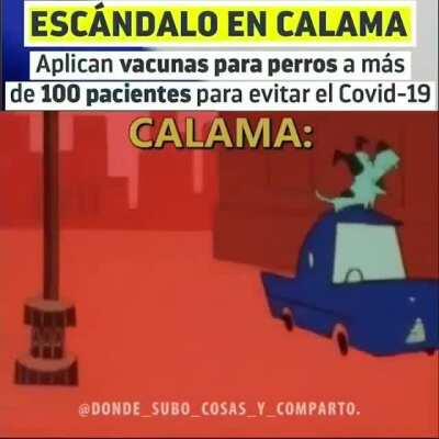 Calama be like: