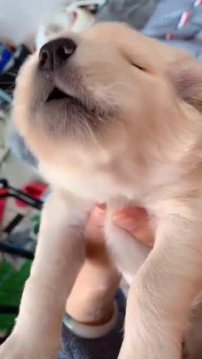 Немного милоты