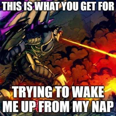 Thunderwing needs a nap. [OC]