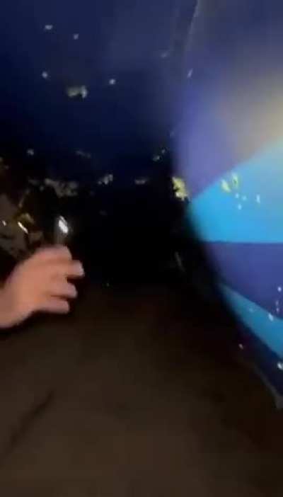 New video from Azerbaijani Airlines plane crash site by Azerbaijani source Caliber. 

This doesn’t seem like birds.