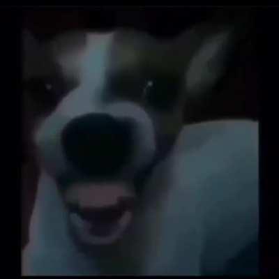 🤣🤣🤣🤣😂😂😂😂🤣🤣🤣🤣👌