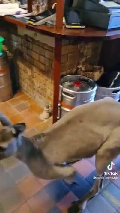 The locals around here seem to think they can help themselves to the bar drinks!