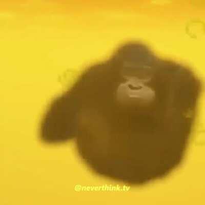 Lavda yüzmek gibisi yok