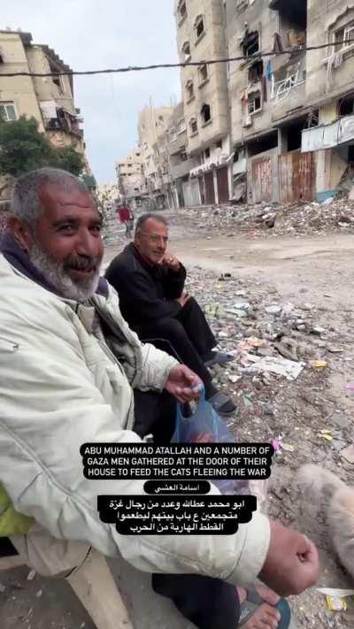 I remember the hadith of the woman that entered hell for torturing a cat to death. May Allah grant them the highest rank of Jannah 🤲